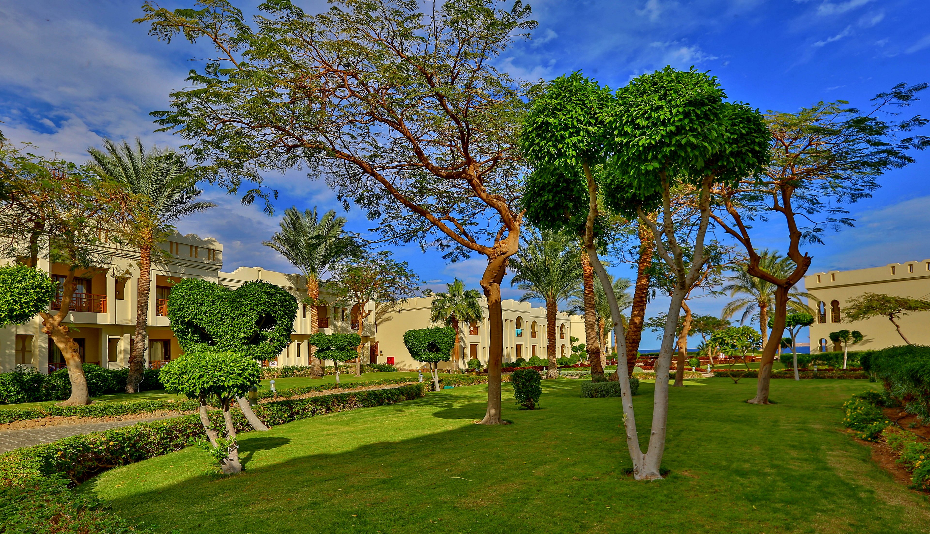 A vibrant garden featuring neatly trimmed trees and green grass, surrounded by resort-style buildings. The setting is sunny with a clear blue sky, creating a serene and inviting atmosphere. Palm trees and manicured landscaping add to the tropical aesthetic.