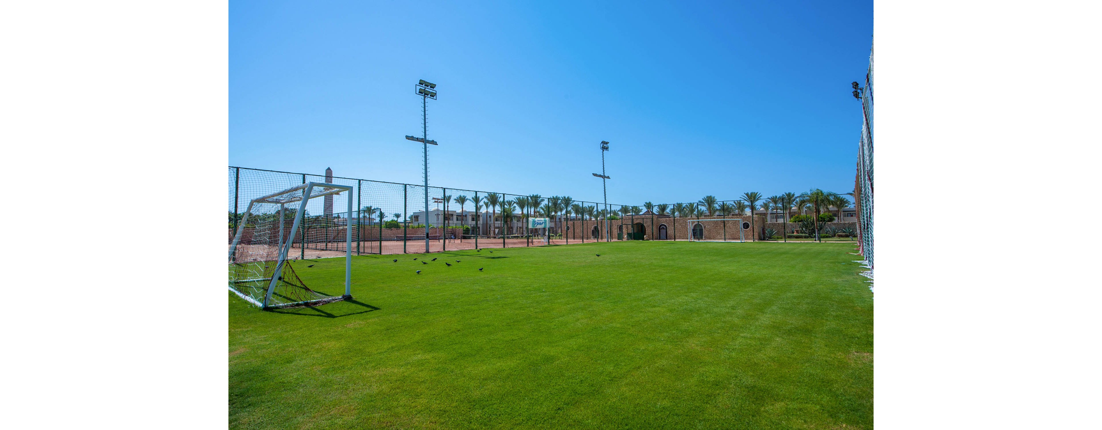 Reef Oasis Beach Resort