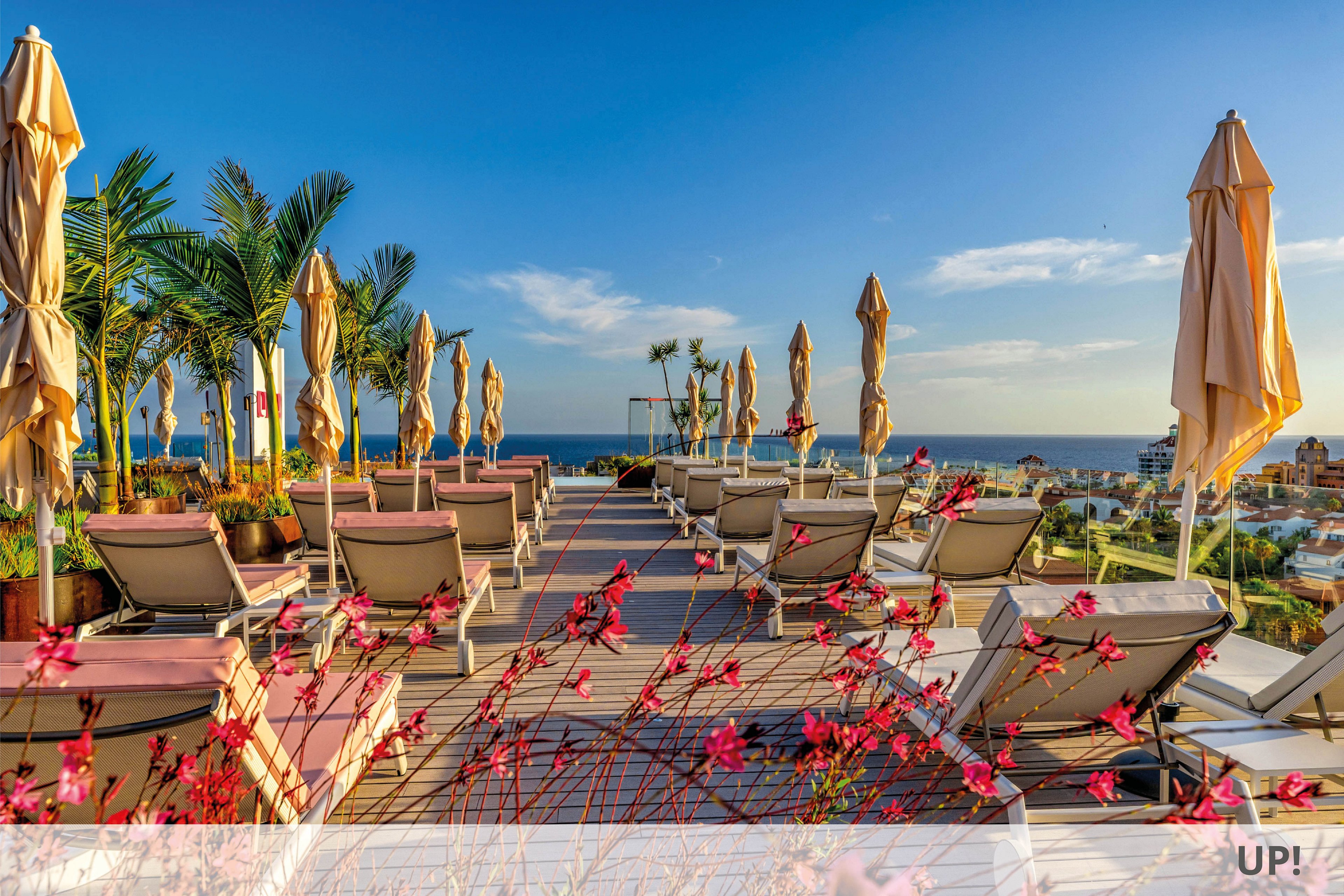 Spring Hotel Bitacora