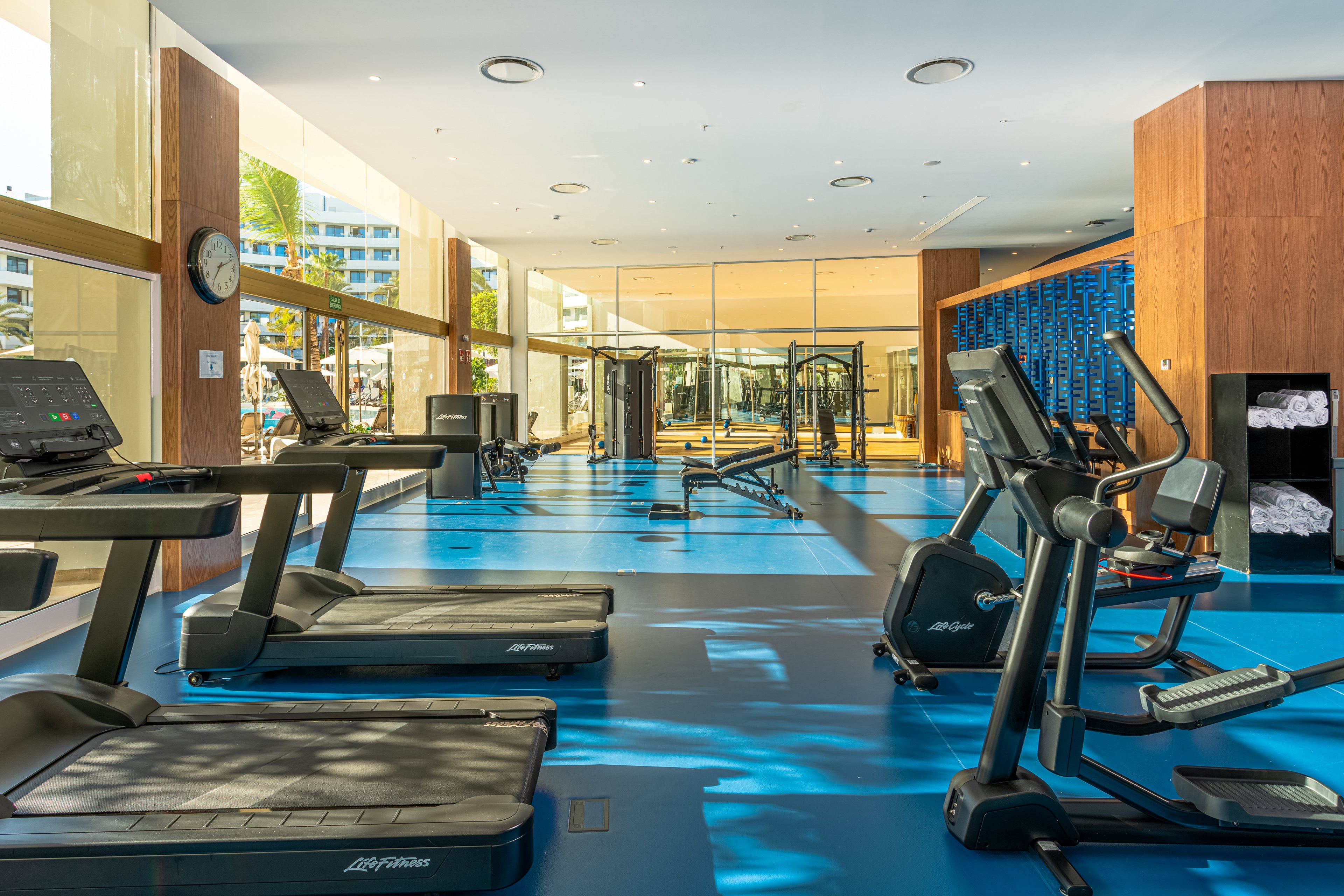 Mediterranean Palace