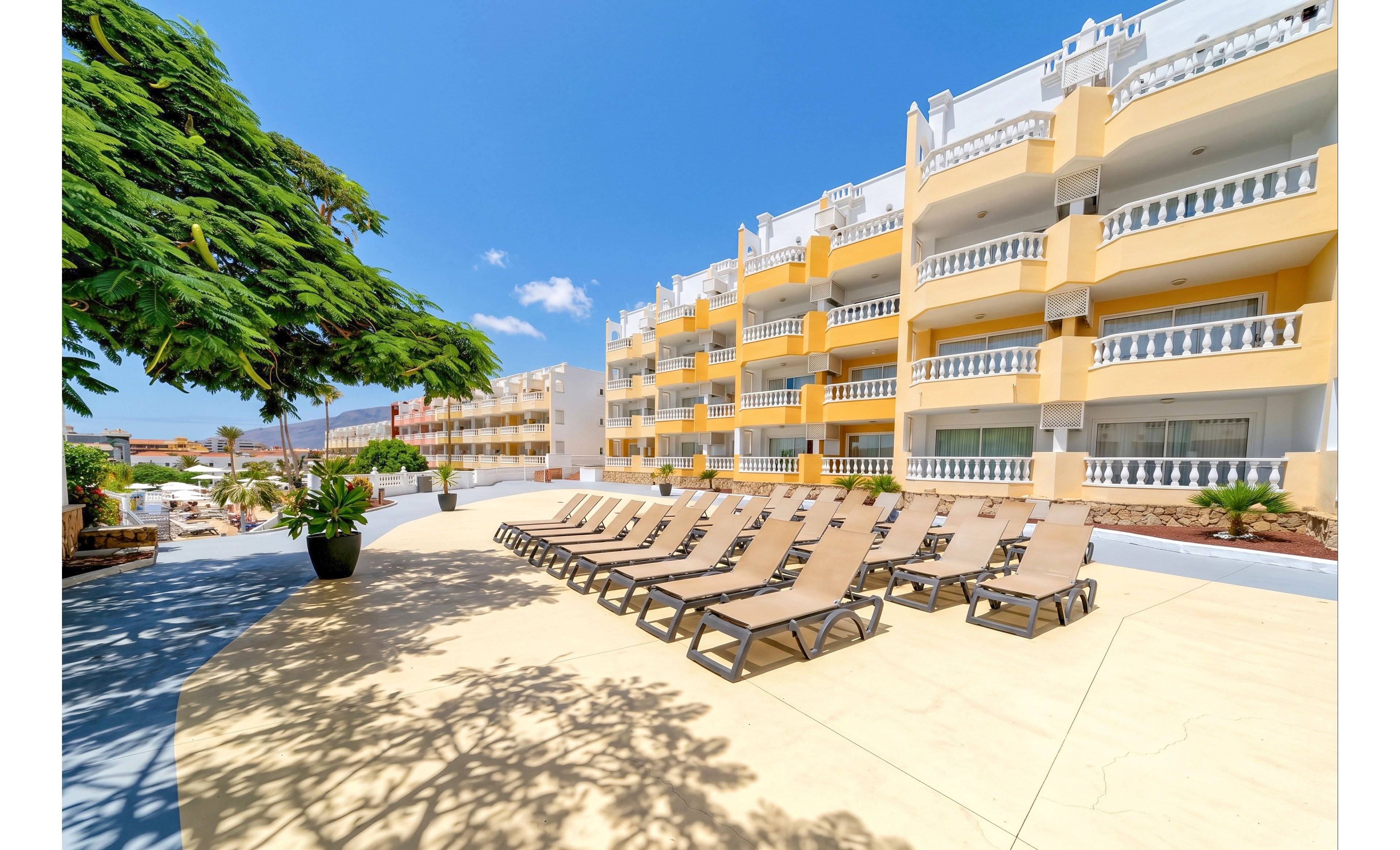 A row of empty sun loungers is arranged on a spacious terrace under a bright blue sky. Behind the chairs, a multi-story resort building with yellow and white balconies dominates the scene. A large leafy tree and potted plants add greenery and shade to the sunlit area. The overall atmosphere suggests a quiet, relaxing holiday setting at a warm-weather destination.