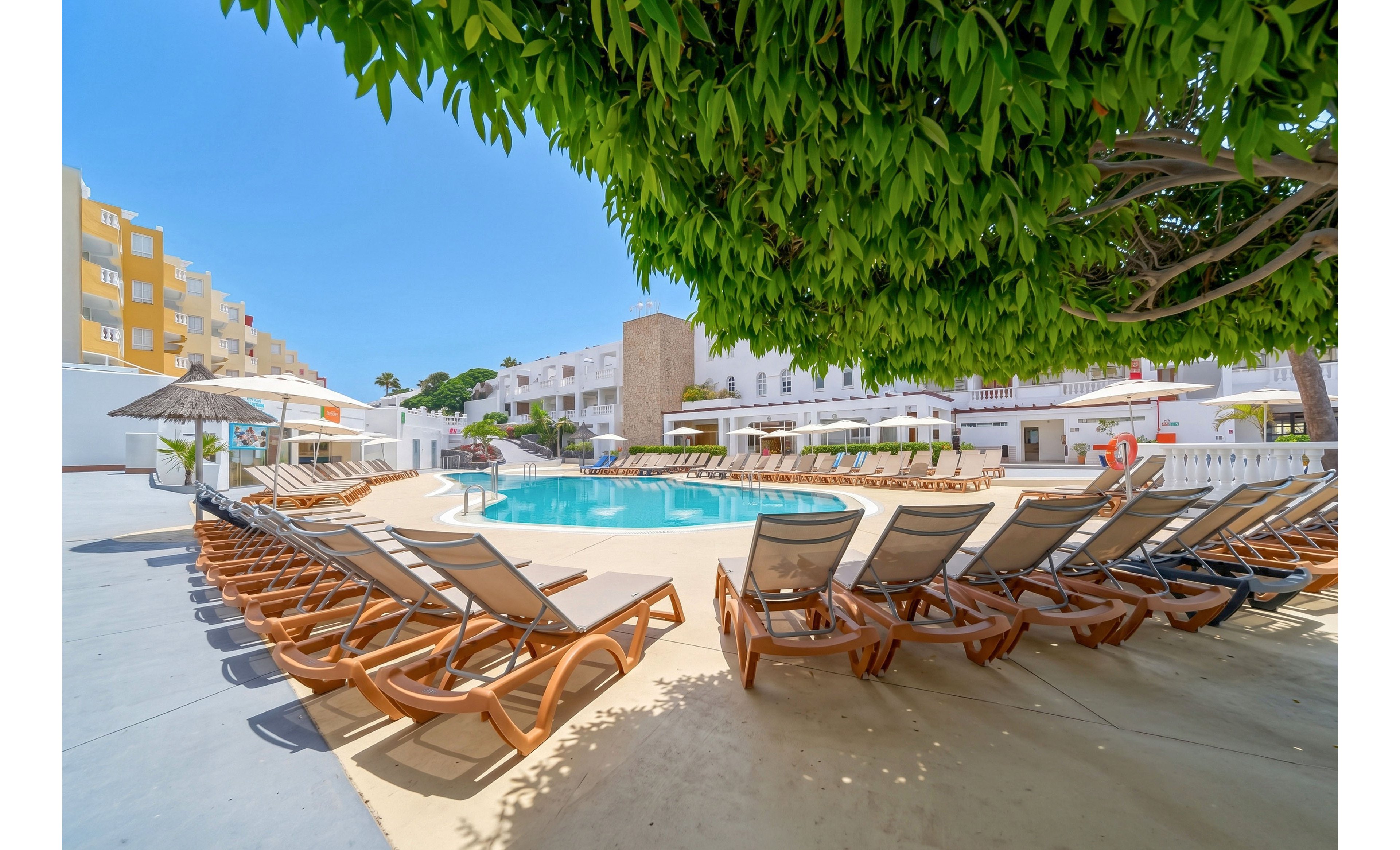 A bright resort swimming pool is surrounded by rows of empty wooden sun loungers with beige cushions. Large white umbrellas provide shade, and a leafy green tree overhangs the foreground. White low-rise buildings and colorful apartment blocks frame the pool area under a clear blue sky. The scene suggests a calm, inviting vacation atmosphere in a warm climate.