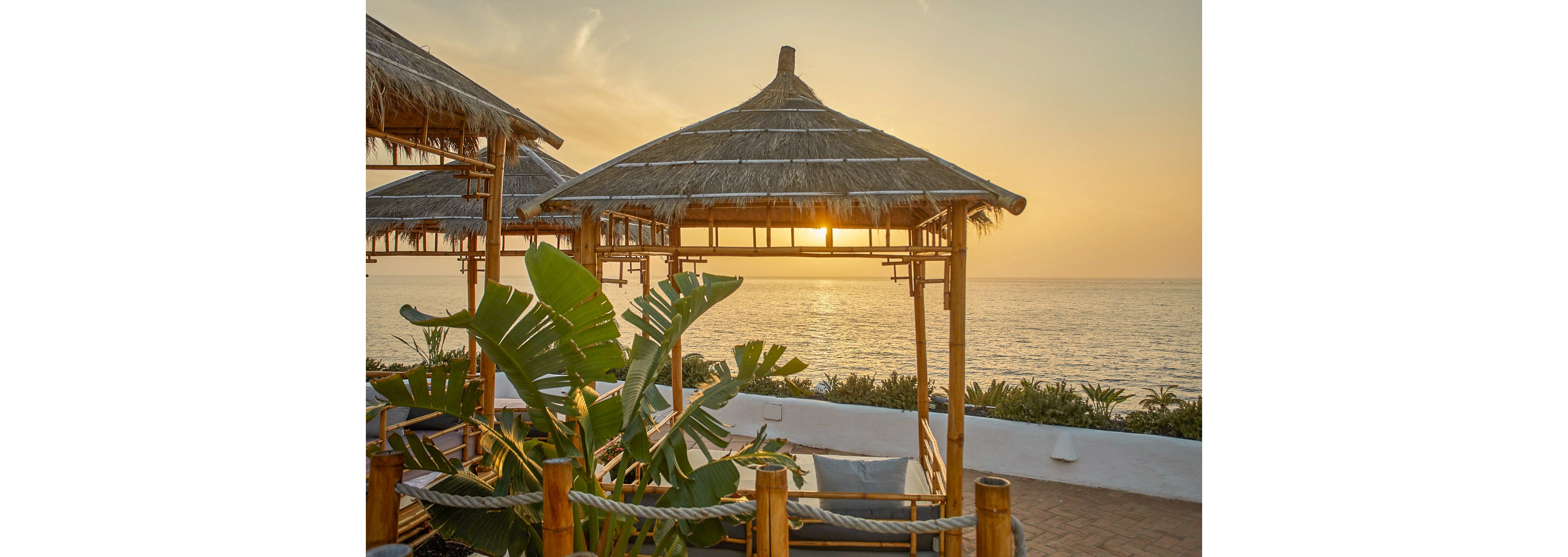 Dreams Jardin Tropical Resort & Spa