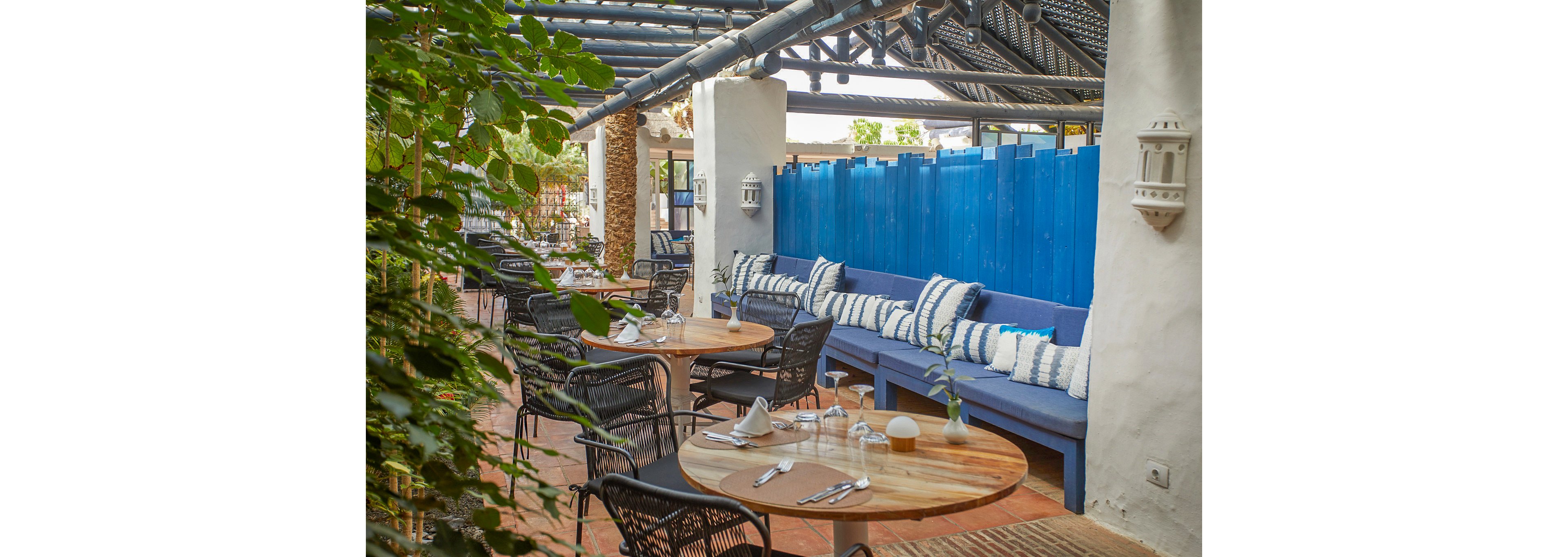 Dreams Jardin Tropical Resort & Spa