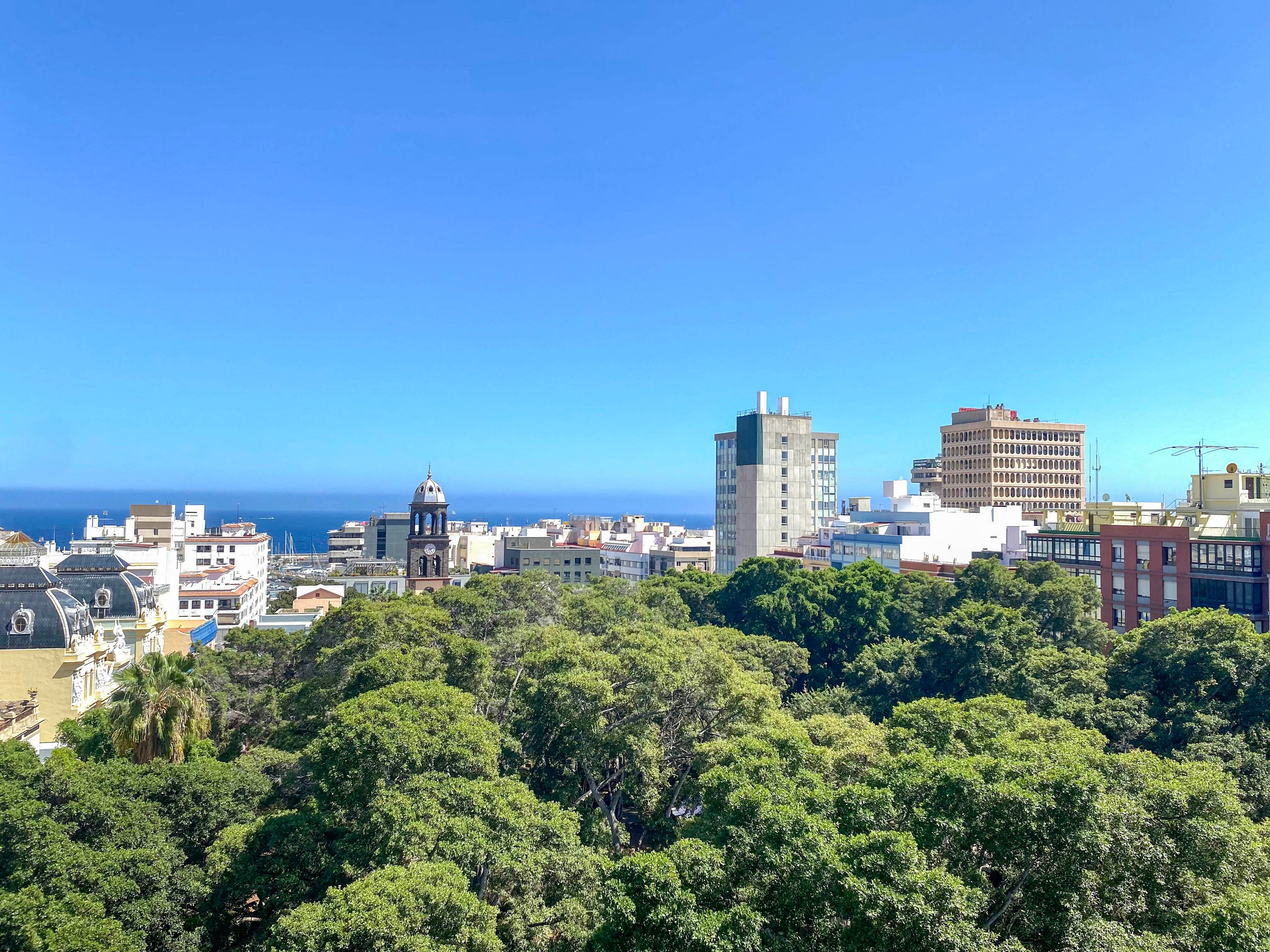 A coastal city skyline rises beyond a dense canopy of green trees under a clear blue sky. Mid-rise and high-rise buildings of various styles form the urban horizon, with a distant view of the sea meeting the sky. A historic-looking tower dome contrasts with more modern office blocks and residential structures. The bright daylight and vivid colors create a fresh, inviting atmosphere in this urban coastal landscape.