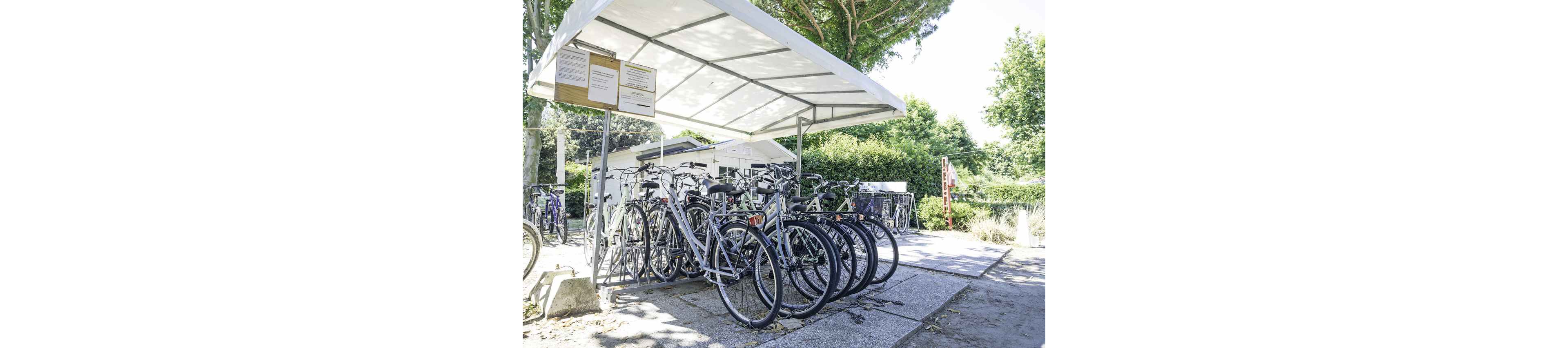 A group of bicycles is parked neatly under a white canopy structure in an outdoor setting. The area is surrounded by greenery, with trees and bushes visible in the background. The scene is brightly lit, suggesting a sunny day, and there are informational signs posted on the canopy. No people are present in the image.