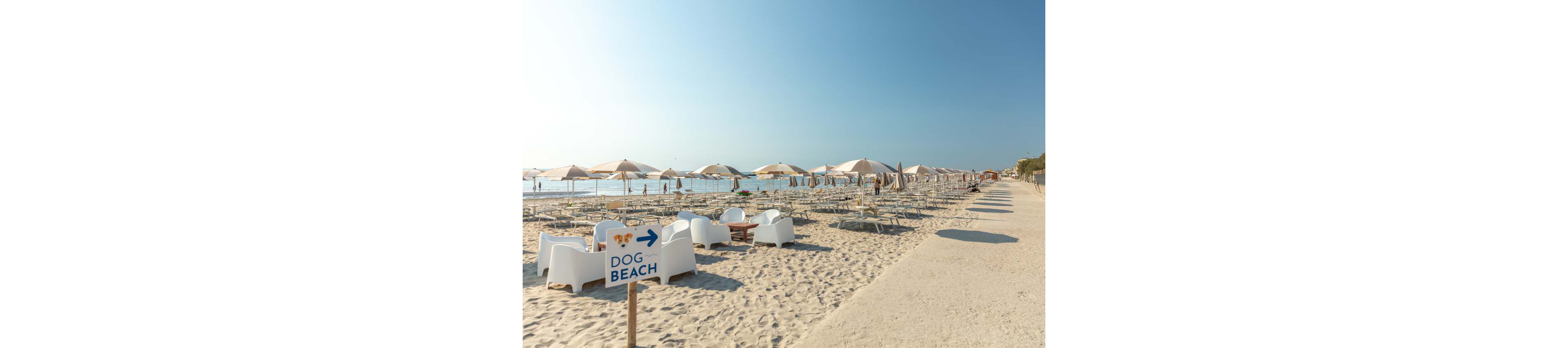 A sandy beach features rows of sun loungers and umbrellas under a clear blue sky. A sign in the foreground reads 'DOG BEACH' with an arrow, indicating a designated area for dogs. The scene is calm and inviting, with soft neutral tones and a tranquil seaside atmosphere.