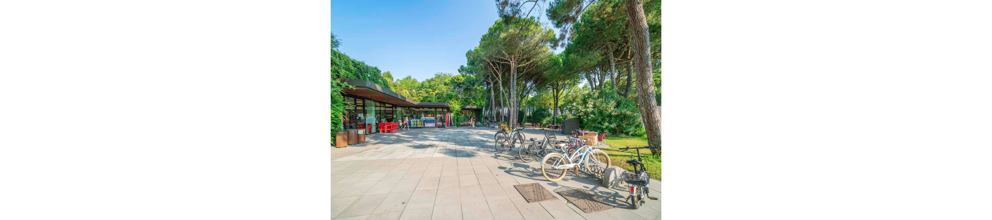Several bicycles are parked on a spacious paved area outside a modern, glass-fronted building. The scene is set in a lush, green forest with tall pine trees providing shade and a tranquil atmosphere. The building features large windows and red seating, suggesting a recreational or community space. The bright daylight and clear sky create a vibrant, inviting mood. No visible text or numeric values are present in the image.