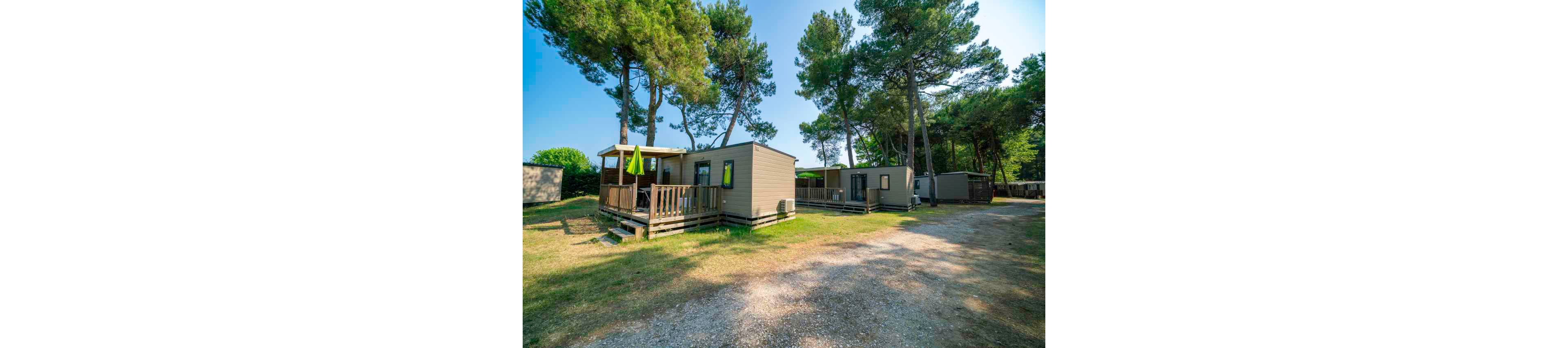 Several modern mobile homes are situated in a sunlit forest campground, surrounded by tall pine trees. The homes feature wooden decks with outdoor seating and a green umbrella, creating a relaxed vacation atmosphere. The setting is peaceful, with dappled sunlight and a gravel path leading through the area. No visible people or text are present in the image.