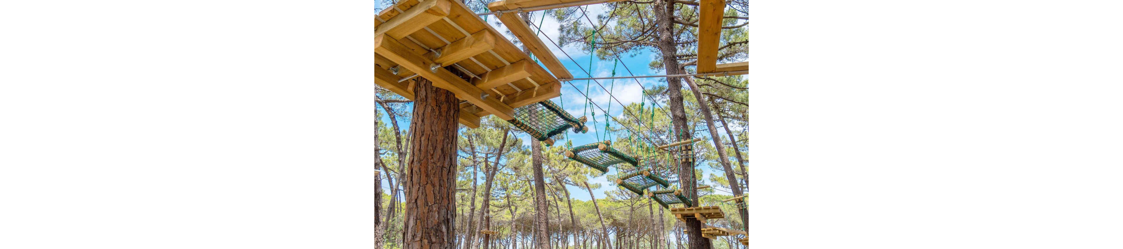 A wooden treetop adventure course is suspended between tall pine trees in a forest. Rope bridges and netted walkways connect sturdy wooden platforms high above the ground. Safety cables and support ropes run along the course, emphasizing an active outdoor experience. The bright blue sky and green tree canopy create a vibrant, natural setting ideal for recreation and adventure sports.