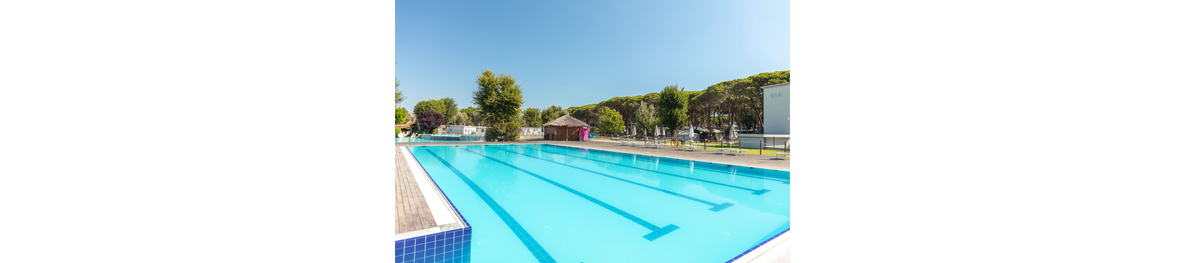 A large outdoor swimming pool stretches alongside a wooden deck under a clear blue sky. Sun loungers and umbrellas are arranged around the pool area, suggesting a relaxing resort or campground setting. In the background, a small thatched-roof hut and several buildings sit among tall green trees. The bright sunlight and calm water create a tranquil, inviting atmosphere for leisure and recreation.