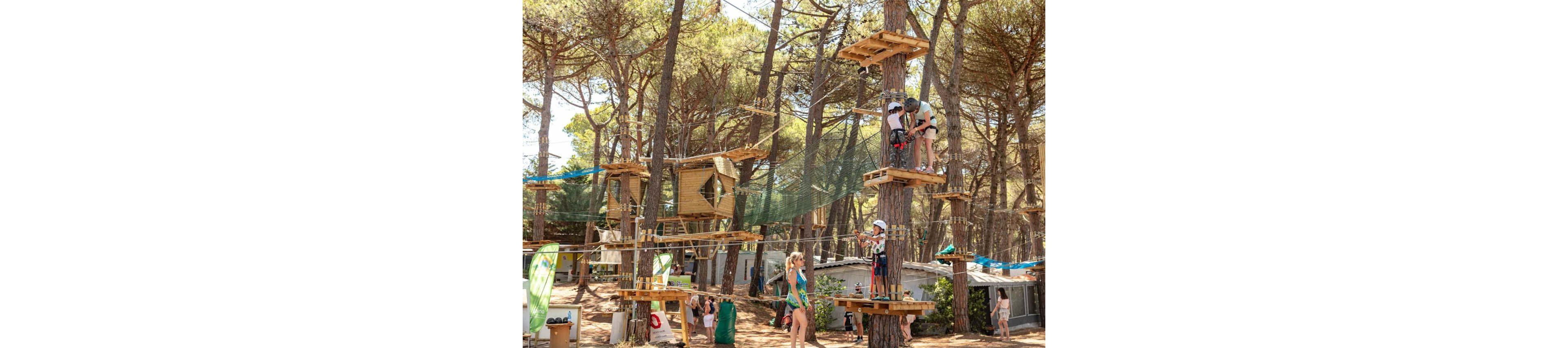 Children and adults participate in a treetop adventure park set among tall pine trees. Wooden platforms, rope bridges, and safety nets are suspended high above the ground. Several people wear helmets and harnesses while climbing and waiting on the platforms. In the background, more visitors walk and relax near small buildings and tents, creating a lively outdoor holiday atmosphere.