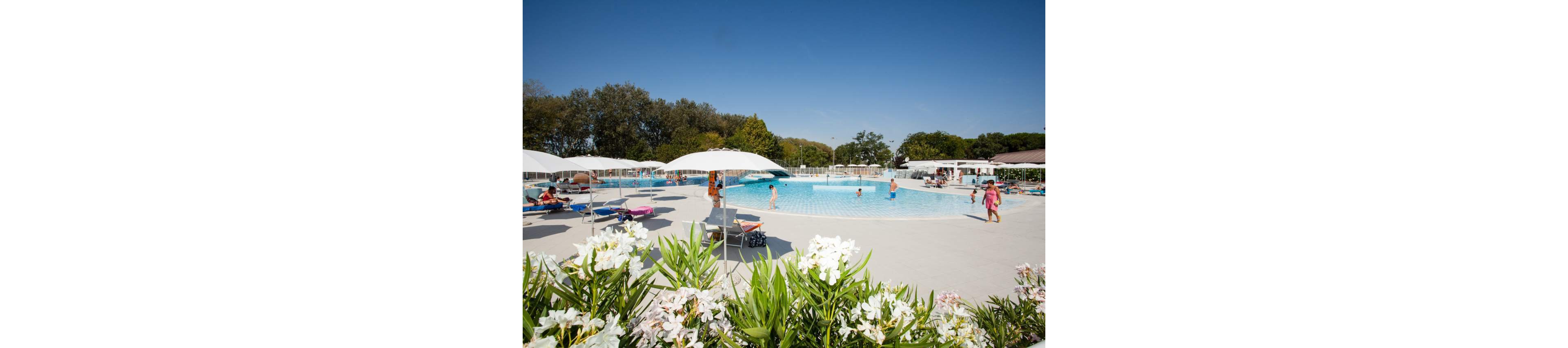 A large outdoor swimming pool is surrounded by white sun umbrellas and lounge chairs at a holiday resort. Families and children enjoy the water while others relax on the pool deck under the clear blue sky. Green shrubs and white flowers frame the foreground, adding a touch of nature to the scene. The overall atmosphere is bright, warm, and leisurely.