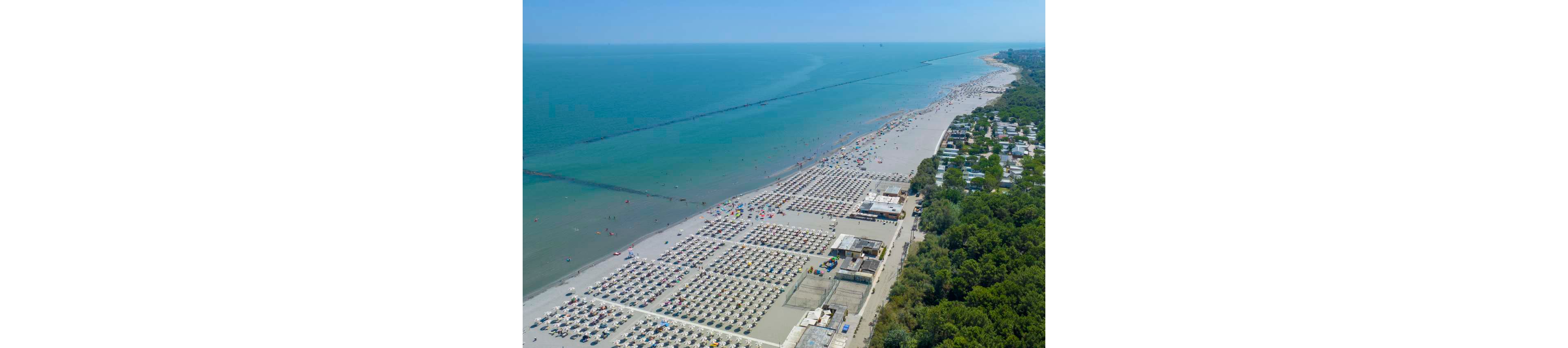A wide sandy beach is seen from above, lined with orderly rows of umbrellas and sun loungers. The shoreline curves along a calm turquoise sea where people swim and wade in the shallow water. Beach clubs and small buildings sit behind the sand, transitioning into a dense green forest and a nearby campground or holiday park. The scene suggests a busy summer day at a popular coastal vacation destination.