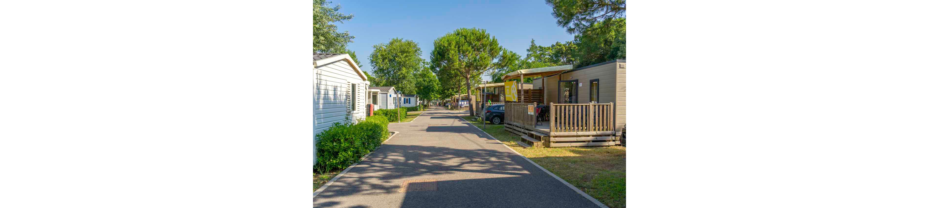 A quiet campsite lane is lined with modern mobile homes and cabins on both sides. Wooden decks with railings and awnings extend from the units, suggesting outdoor relaxation areas. Lush green trees and hedges frame the paved road, creating a pleasant, shaded environment. The bright daylight and clear sky give the scene a warm, inviting holiday atmosphere.