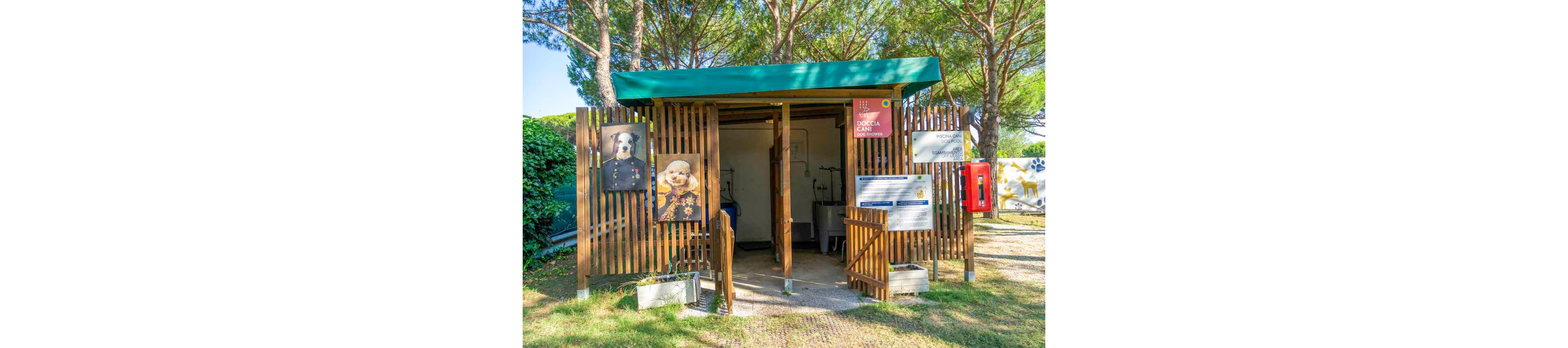 An open wooden structure with a green canopy houses an outdoor dog wash station. Large photos of dogs in costumes decorate the entrance, and informational signs are mounted on the slatted walls. Inside, metal wash basins and hoses are visible, suggesting a pet grooming or cleaning area. The building is surrounded by grass, trees, and bright daylight, giving the scene a relaxed holiday campsite atmosphere.
