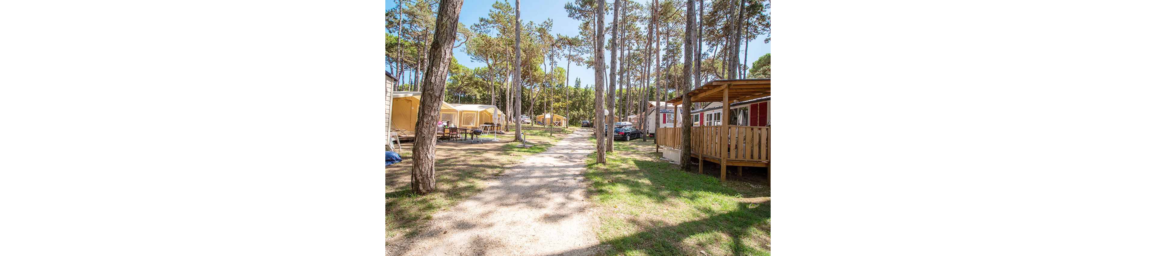 A bright campsite is set among tall pine trees with a dirt path running through the center. Mobile homes and wooden cabins line both sides of the path, some with covered porches and outdoor seating. Cars are parked near the units, suggesting a relaxed holiday setting. The scene is sunlit, with long tree shadows and a peaceful, family-friendly atmosphere.