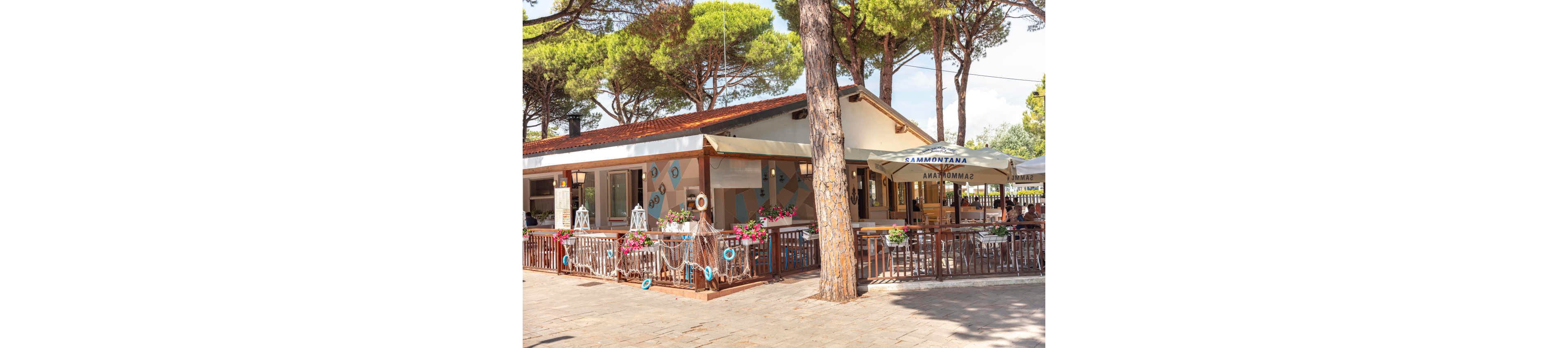 A cozy outdoor café with a wooden fence and flower boxes sits beneath tall pine trees. The building features a sloped red roof and light-colored walls decorated with nautical elements. White lanterns and maritime ropes adorn the railing, creating a relaxed seaside atmosphere. Large umbrellas shade the seating area, inviting visitors to enjoy food and drinks in the open air.