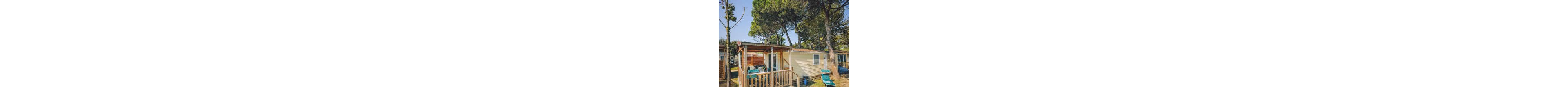 A compact mobile home with a wooden terrace sits among tall pine trees in a sunny outdoor setting. The terrace is partially covered, providing shade for outdoor dining and relaxation. A lounge chair and other outdoor furniture suggest a vacation or camping atmosphere. Warm light and natural colors create a relaxed, inviting holiday mood.
