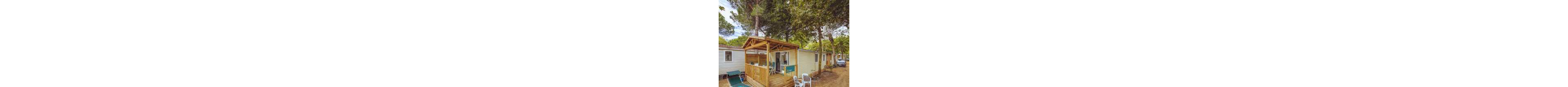 A small mobile home with a wooden covered terrace is set among tall trees in a forest campsite. White plastic chairs and a table sit on the terrace, suggesting a relaxed outdoor seating area. Neighboring mobile homes line the dirt pathway, and a parked car is visible in the background. The scene feels peaceful and inviting, ideal for a nature-focused holiday stay.