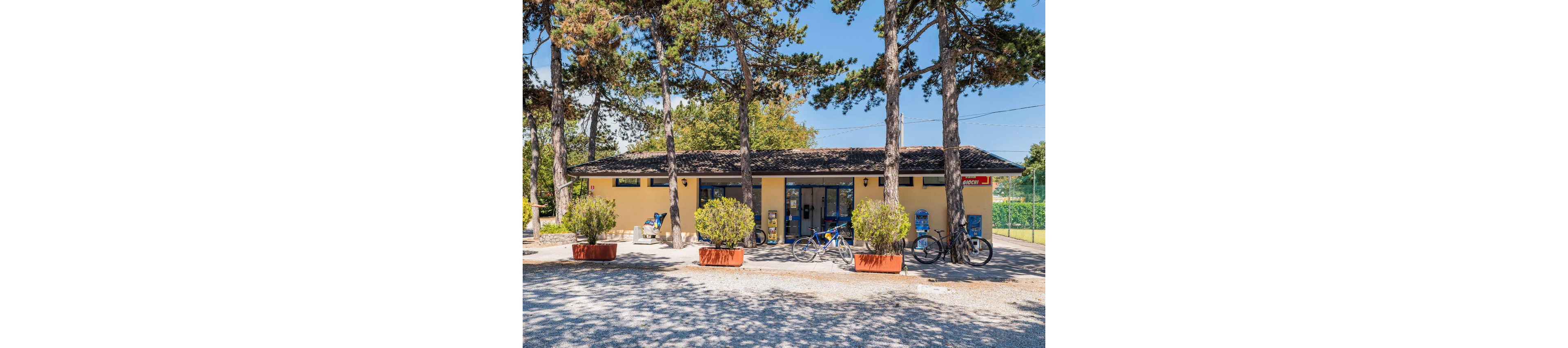 A small yellow roadside shop stands among tall pine trees on a sunny day. Several bicycles are parked in front of the entrance, suggesting visitors have arrived by bike. Large rectangular planters with green shrubs line the gravel area in front of the building. The clear blue sky and bright light create a relaxed, summery atmosphere.