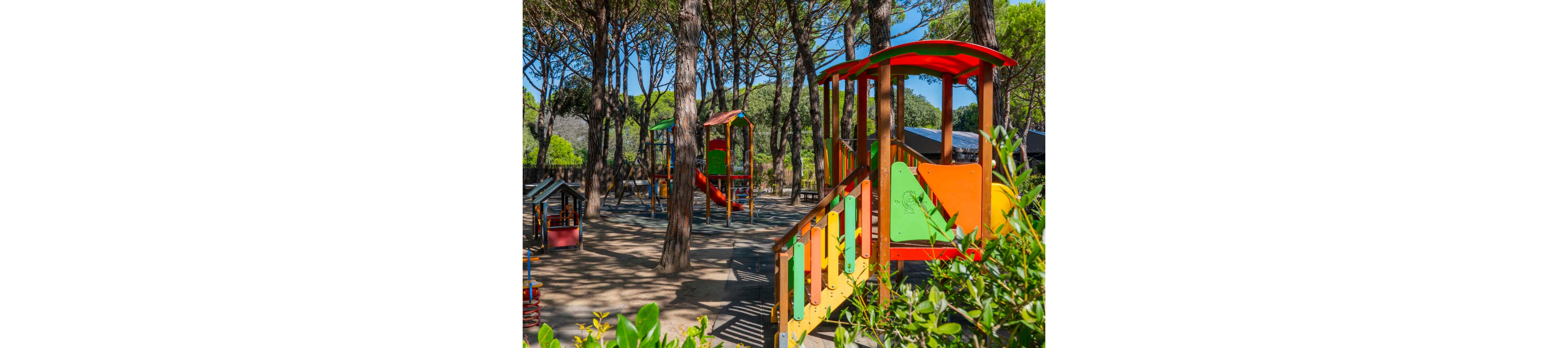 A colorful wooden playground stands in a shaded outdoor park surrounded by tall pine trees. The play structures include slides, platforms, and climbing elements in bright red, yellow, green, and orange. Sunlight filters through the trees, casting dappled shadows on the sandy ground. Lush greenery and bushes frame the play area, creating a natural and inviting environment for children.