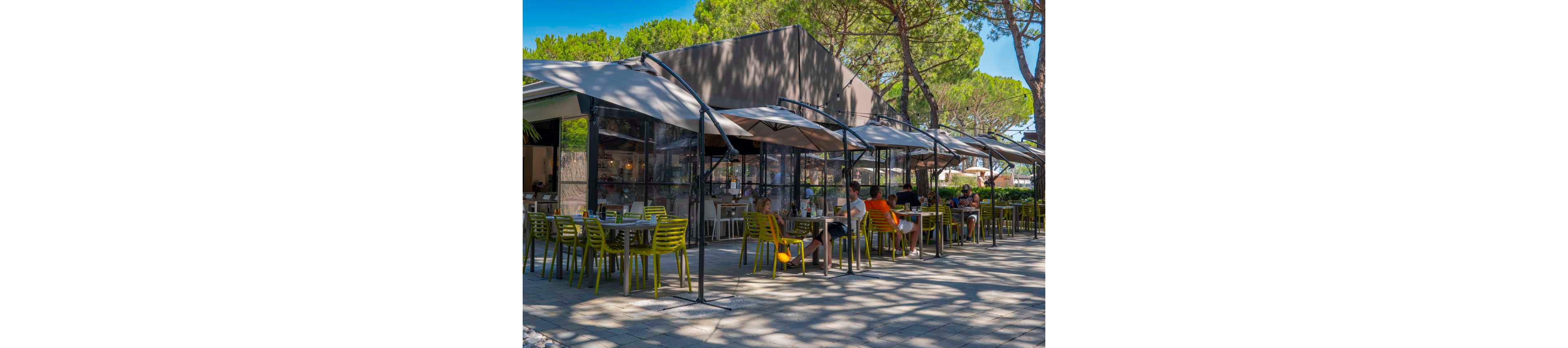 An outdoor café terrace features rows of green chairs and tables arranged beneath large gray sunshades. Several people sit and relax at the tables, enjoying drinks and conversation in the shade. The café building has large glass windows, revealing a bright interior with additional seating. Tall pine trees surround the area, casting dappled shadows on the paved ground and creating a relaxed, summery atmosphere.