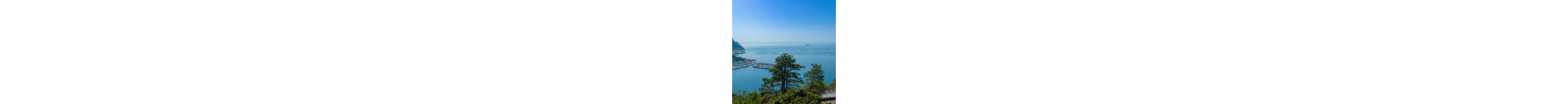 A calm coastal bay stretches out under a clear blue sky, with a marina full of boats nestled along the shoreline. Tall green trees frame the foreground, adding depth to the scenic view. In the distance, several ships and vessels are visible on the open water. The overall atmosphere is peaceful and serene, evoking a sense of summer and coastal relaxation.