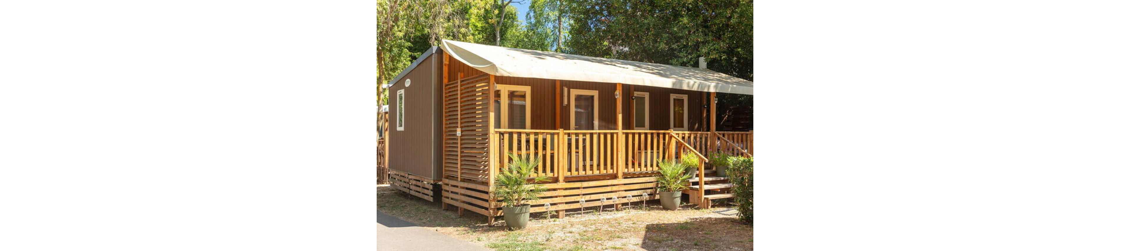 A contemporary wooden cabin features a spacious front porch with railings and steps leading down to the ground. The structure is surrounded by trees and greenery, creating a relaxed outdoor setting. Potted plants line the edge of the porch, adding a touch of nature and decoration. Warm sunlight highlights the natural wood tones, giving the scene a cozy, inviting atmosphere.