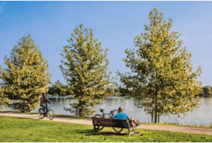 Mincio Cycle Path