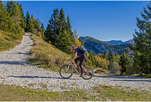 Valsugana Cycle Path