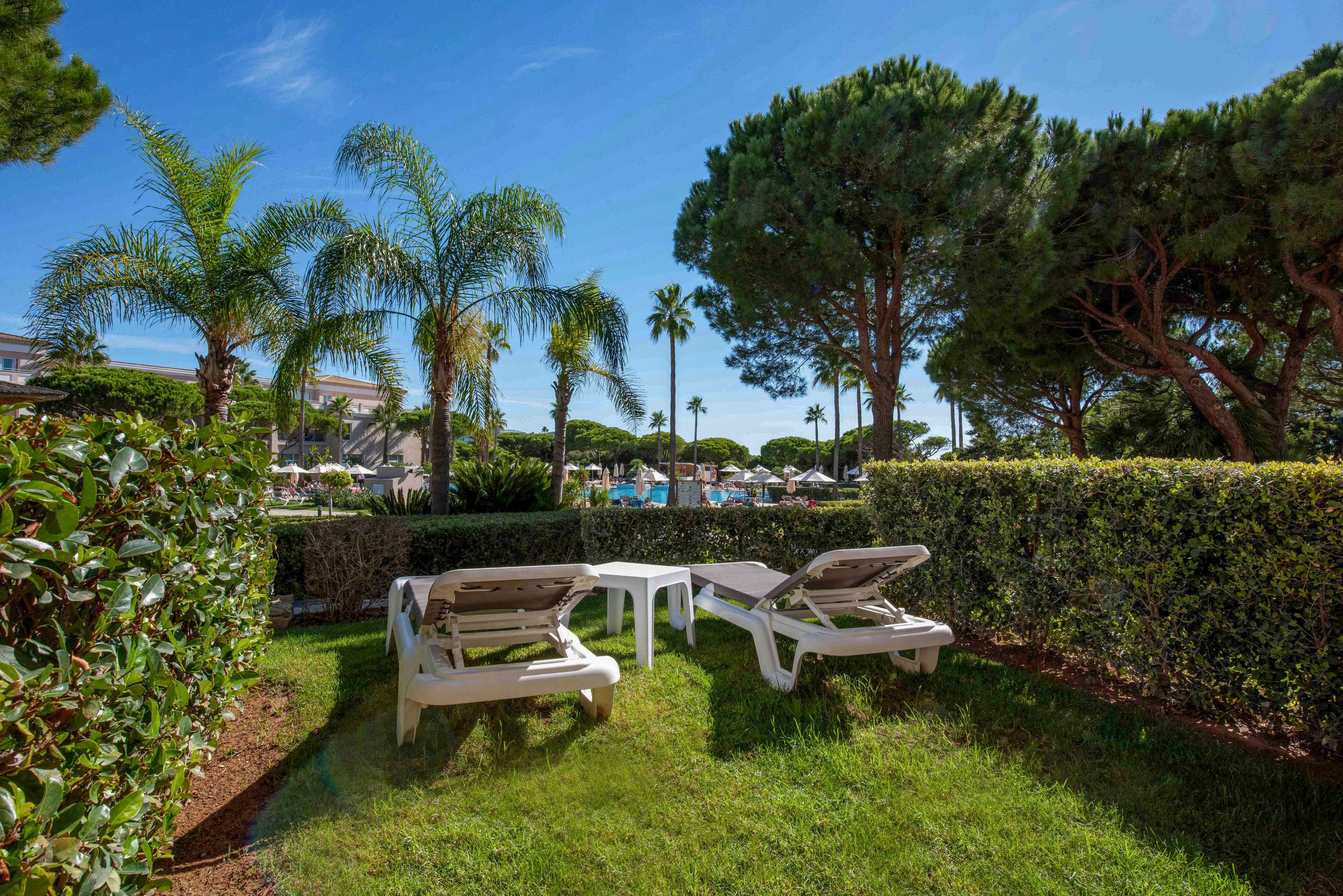 Two white sun loungers and a small table sit on a neatly trimmed lawn in a private garden area. Tall palm trees and dense hedges frame the space, creating a secluded corner within a larger resort. In the background, a swimming pool and additional seating are visible under a clear blue sky. The bright sunlight and lush greenery suggest a relaxing vacation atmosphere.