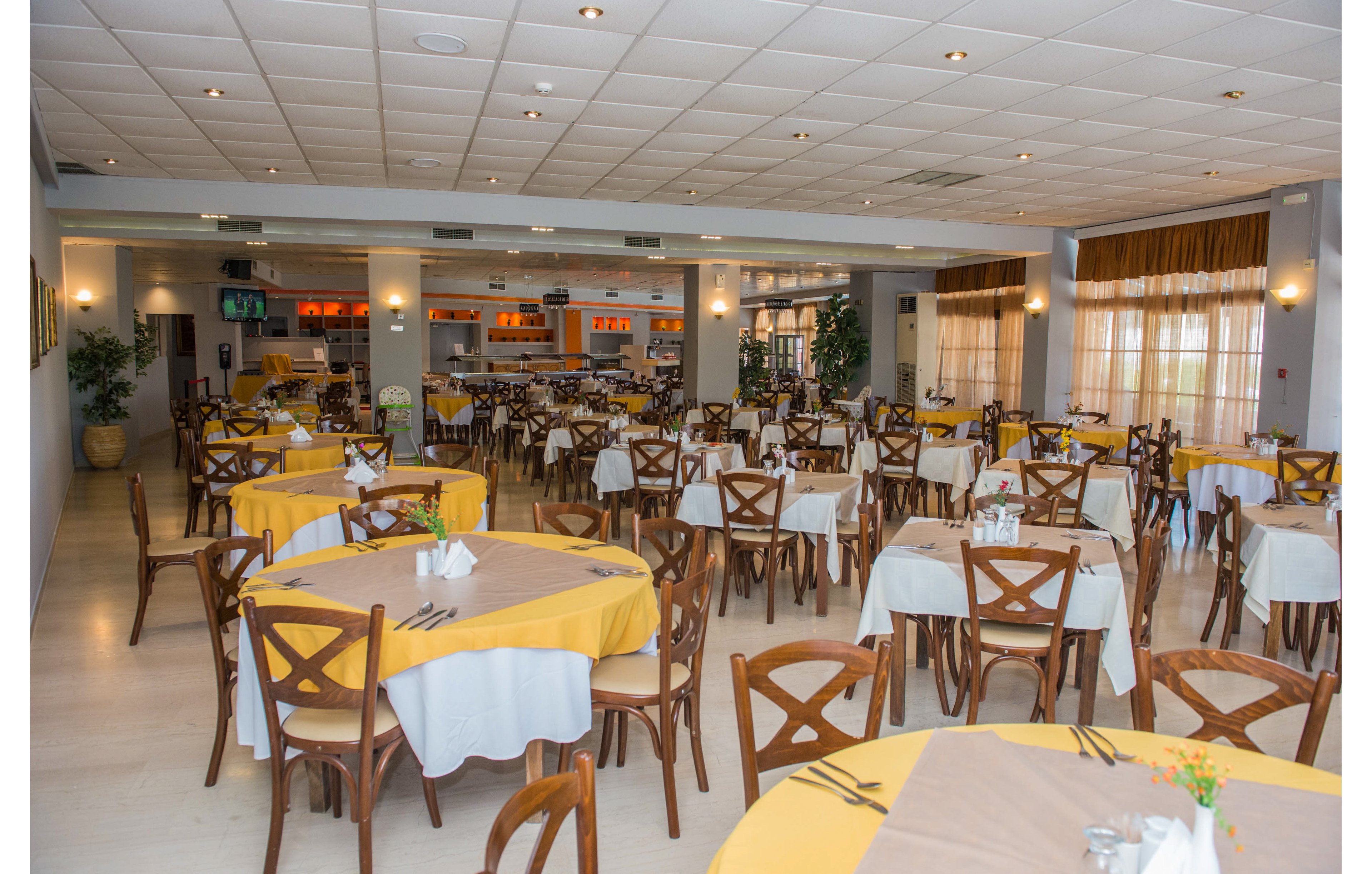 Alexander the Great - Zante