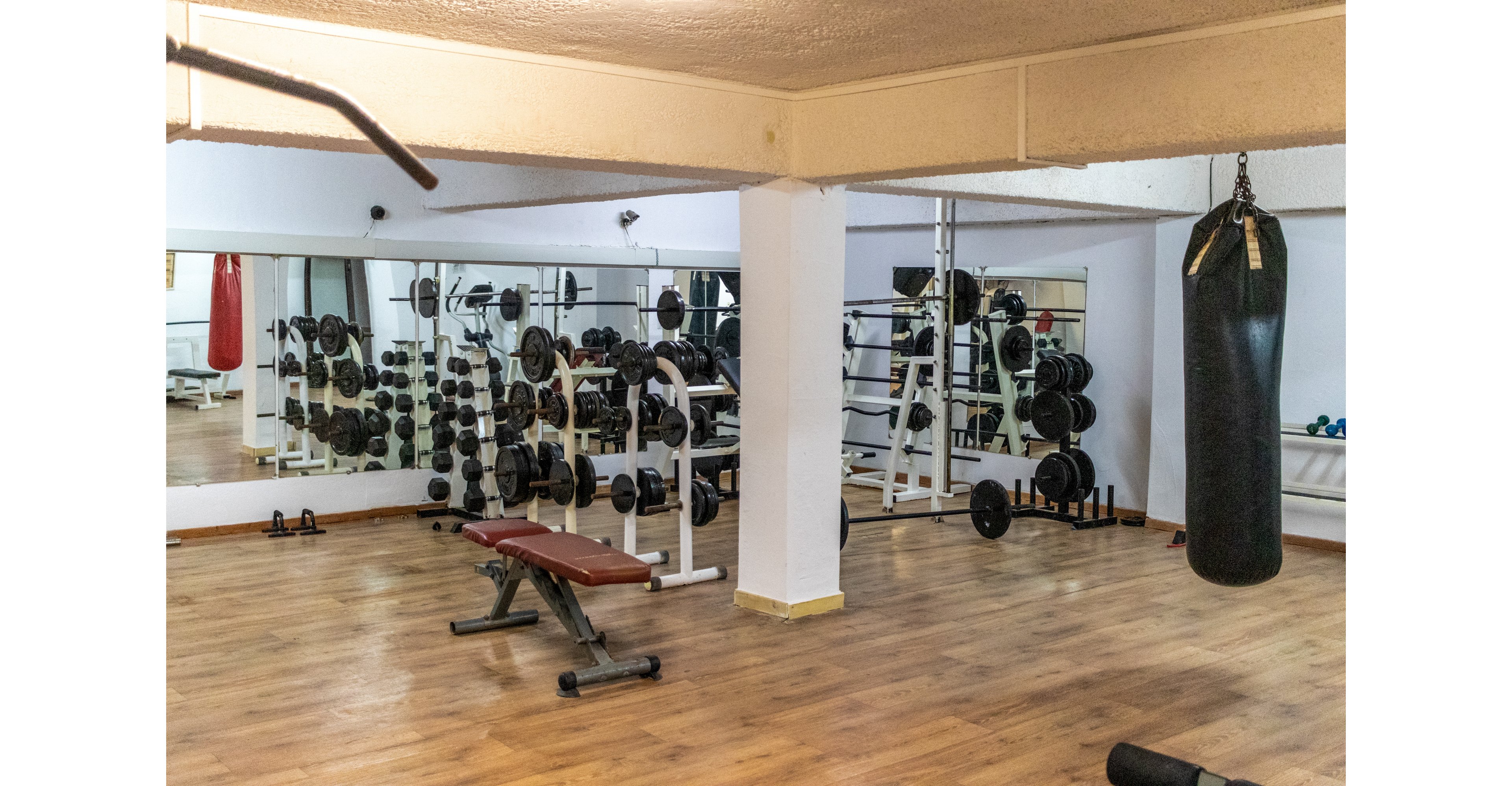 Alexander the Great - Zante