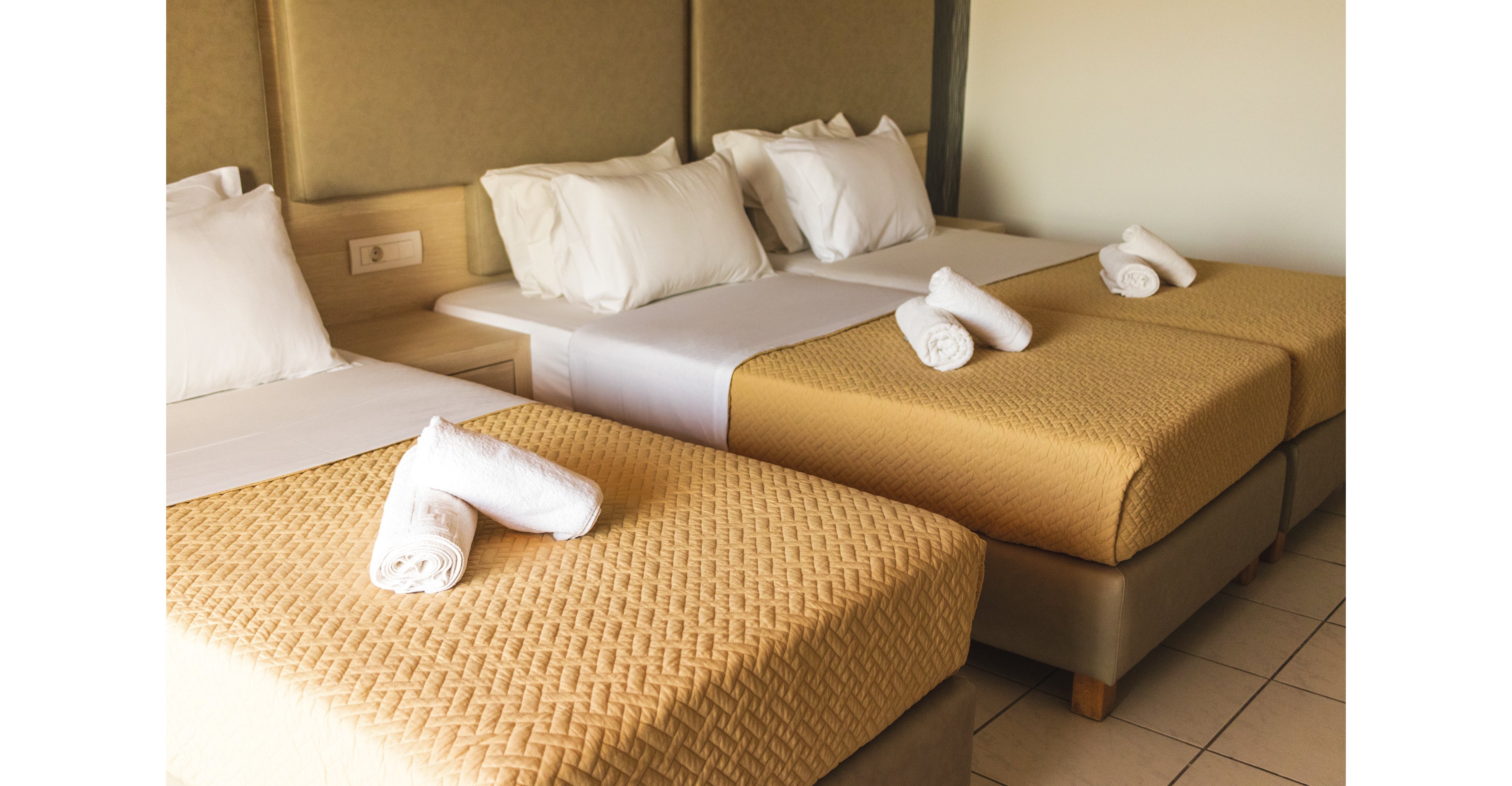 Alexander the Great - Zante