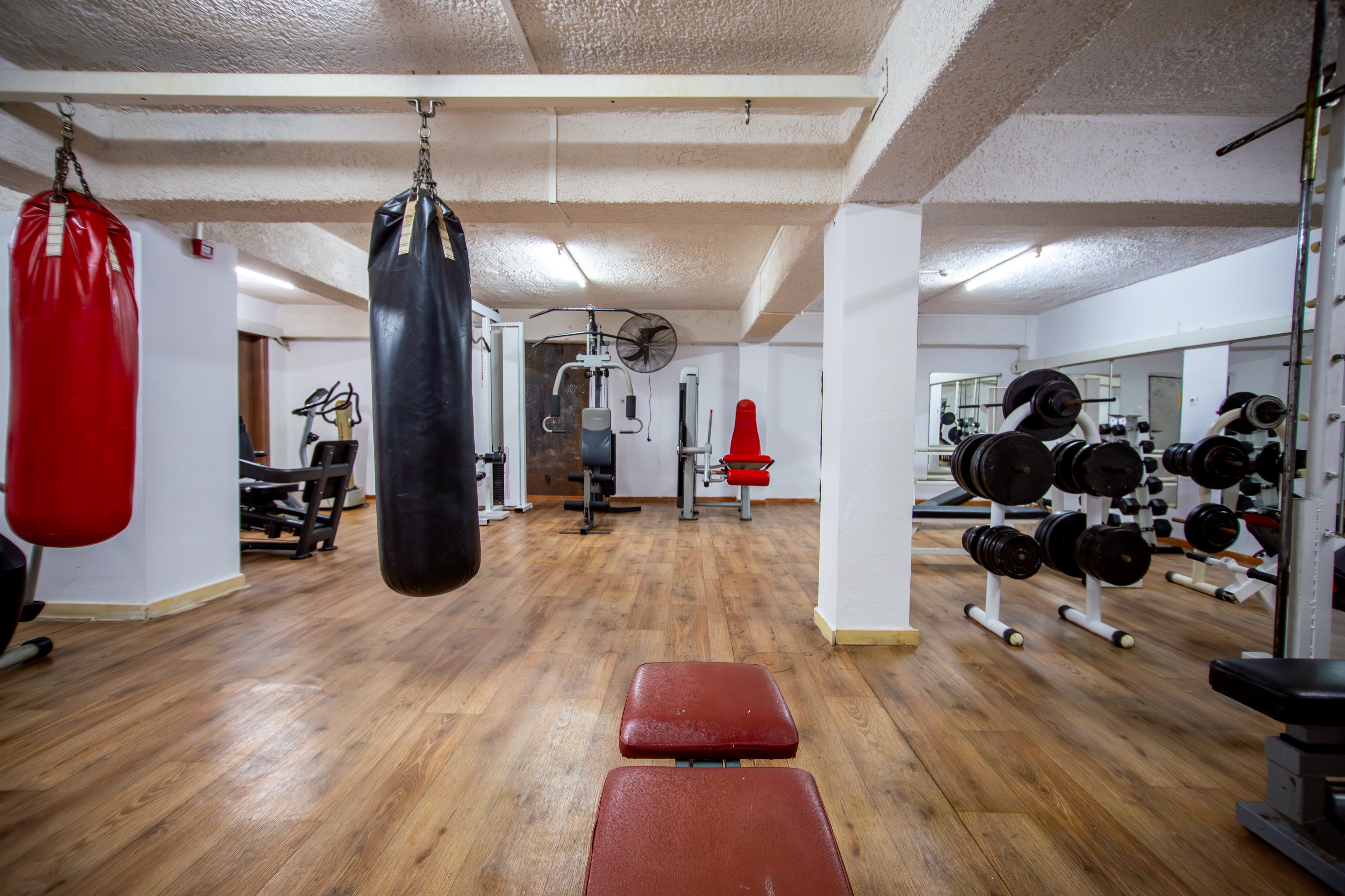 Alexander the Great - Zante