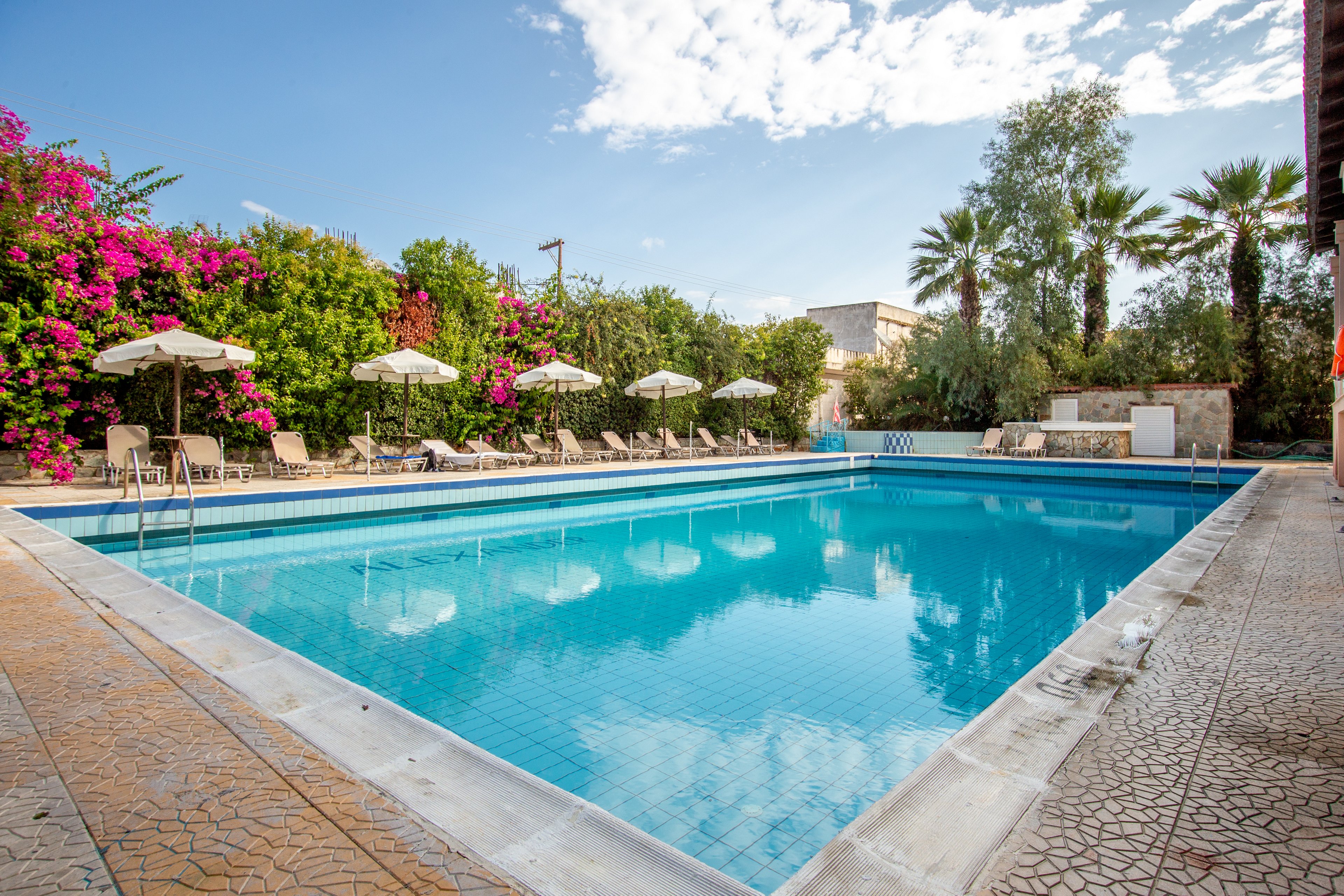 Alexander the Great - Zante