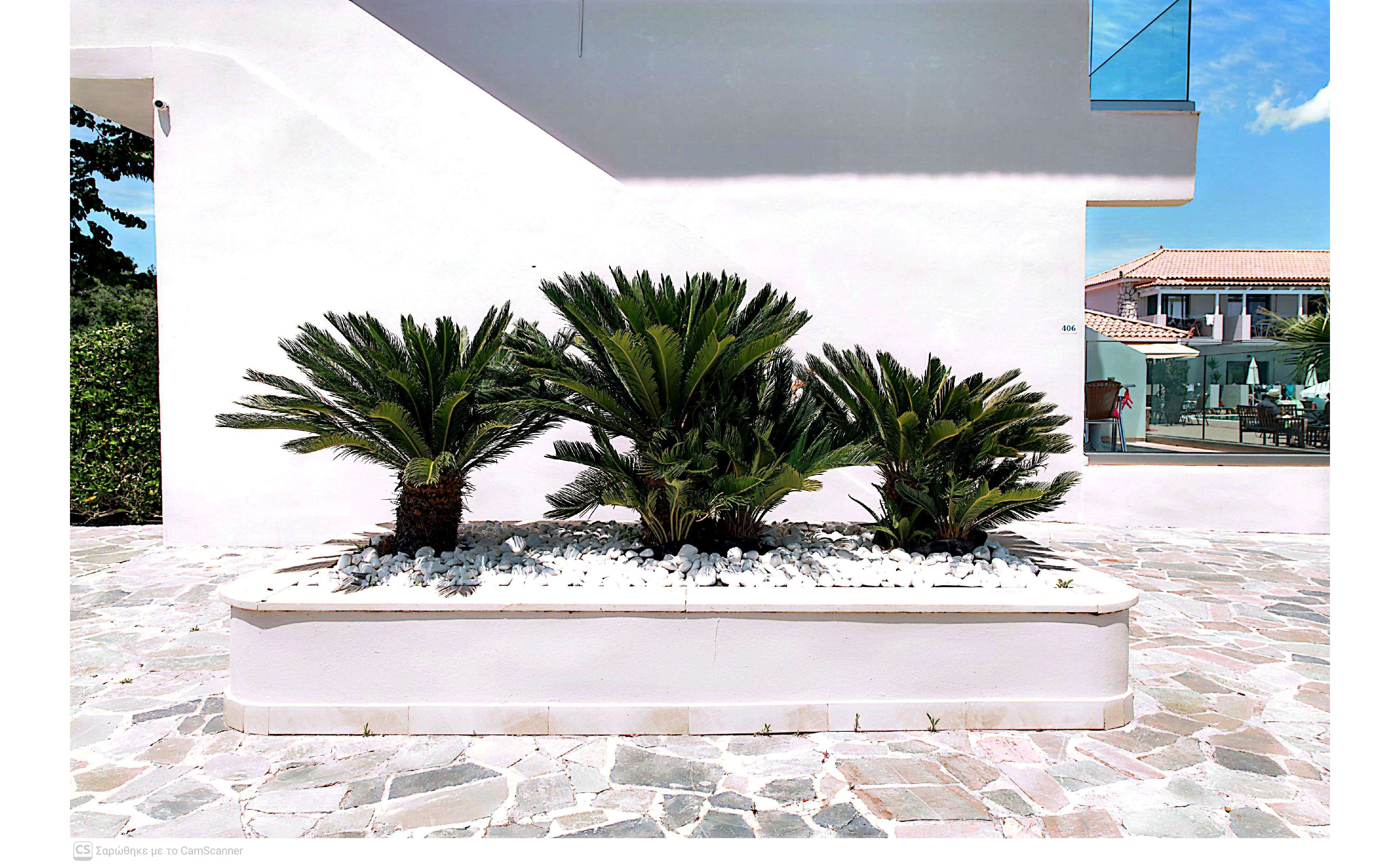 A group of small palm-like plants grows in a rectangular white planter filled with white decorative stones. The planter sits on a light stone-tiled courtyard in front of a modern white building. In the background, neighboring houses and a glass balcony are visible under a bright blue sky. The scene suggests a clean, contemporary Mediterranean or coastal setting with strong sunlight and sharp shadows.