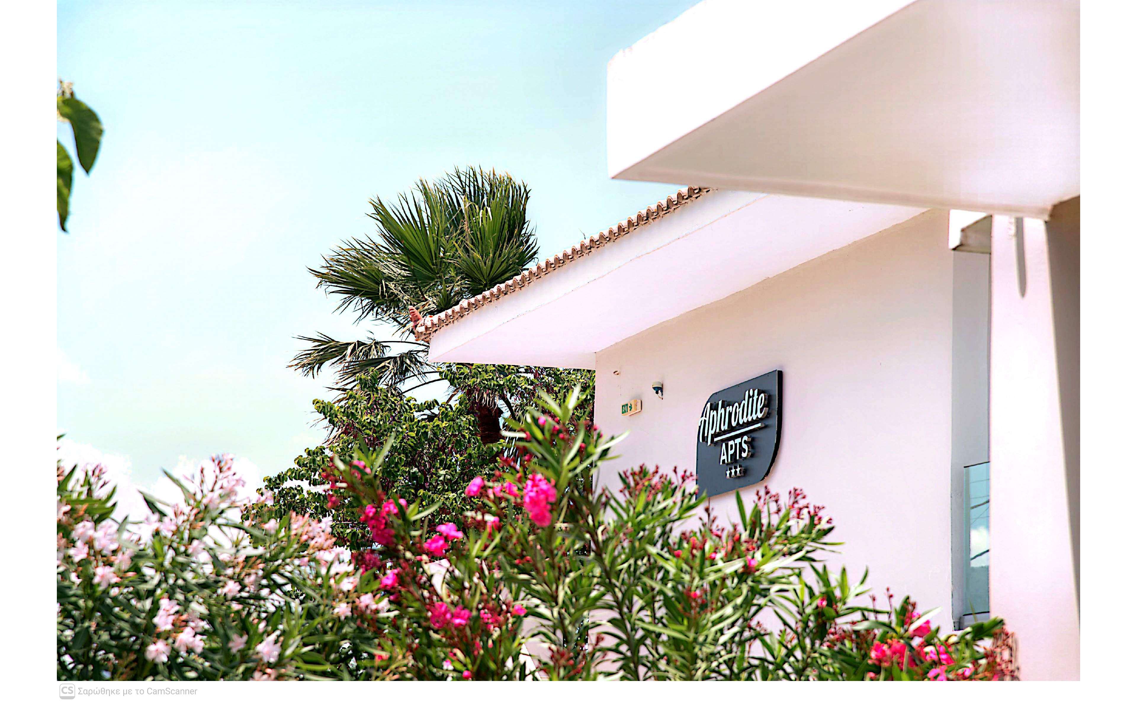 A modern white apartment building is partially visible behind lush flowering shrubs. A dark sign on the wall reads "Aphrodite APTS" with additional smaller text beneath it. Pink and white blossoms fill the foreground, adding vibrant color to the scene. A tall palm tree and clear blue sky suggest a warm, sunny climate and relaxed holiday atmosphere.