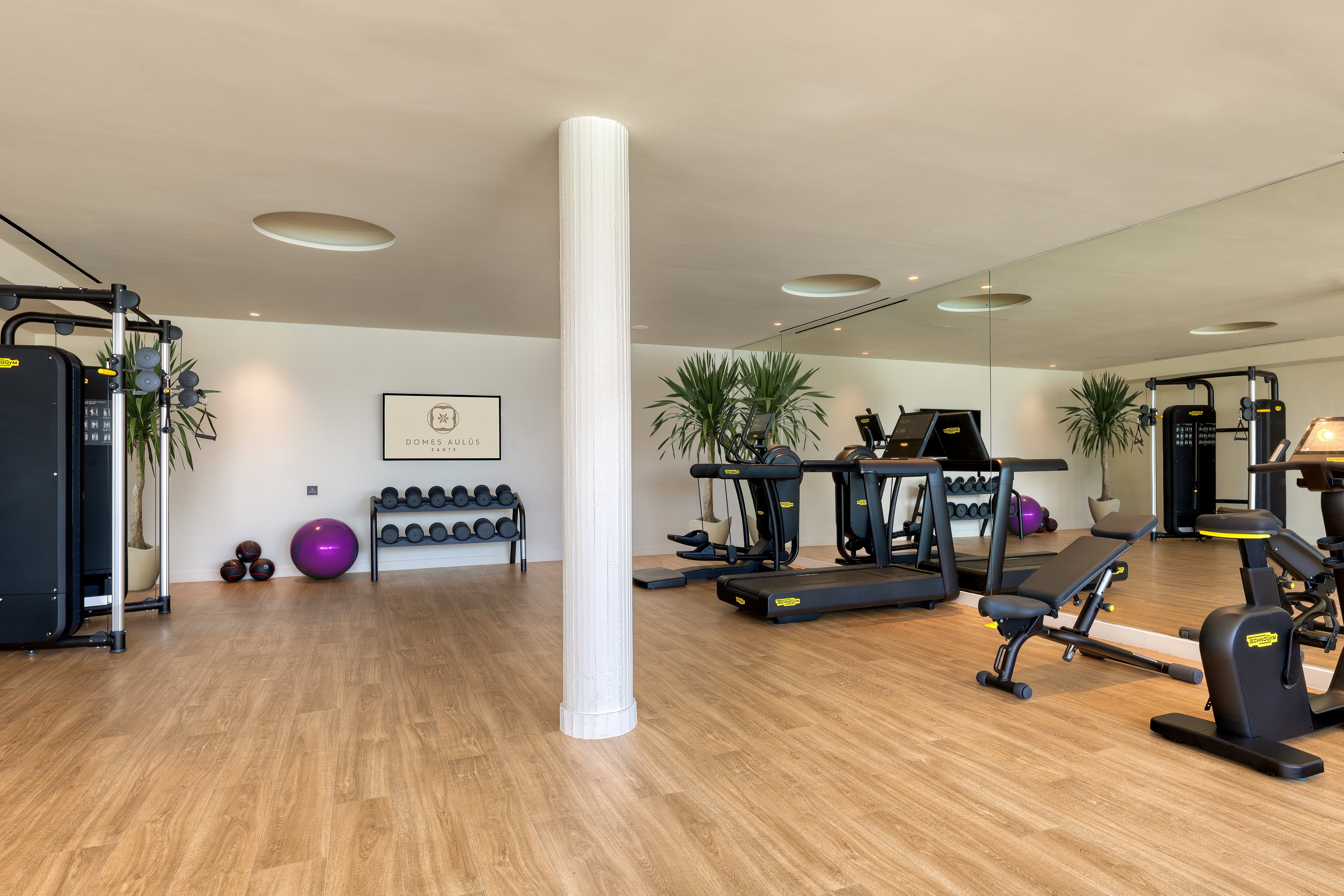 Domes Aulus Zante Autograph Collection