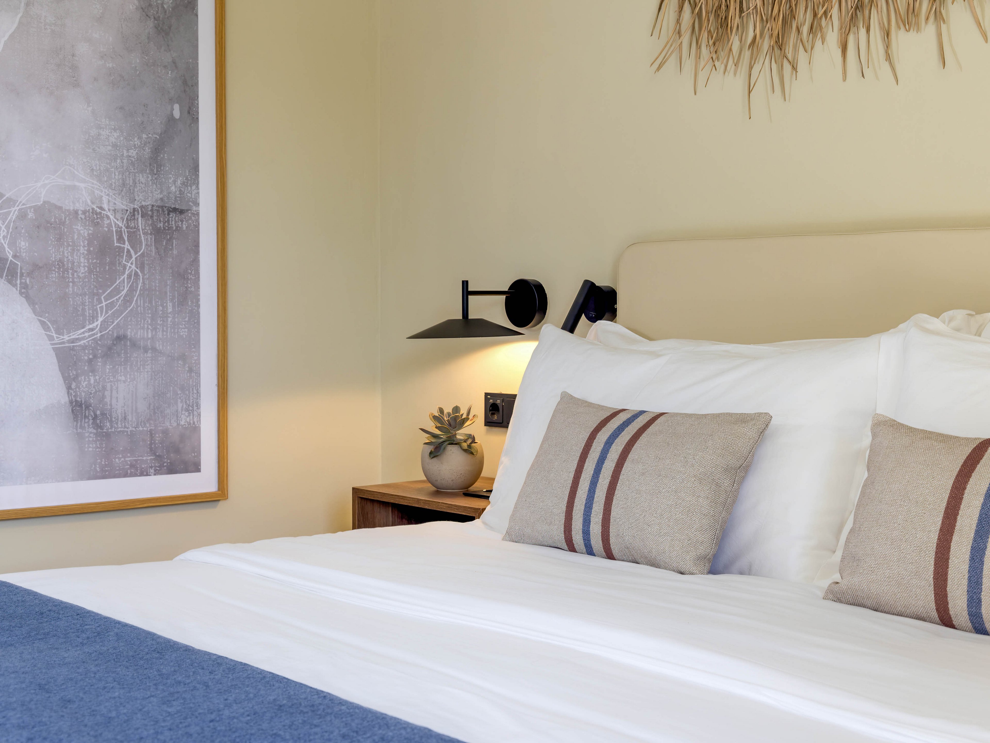 Domes Aulus Zante Autograph Collection