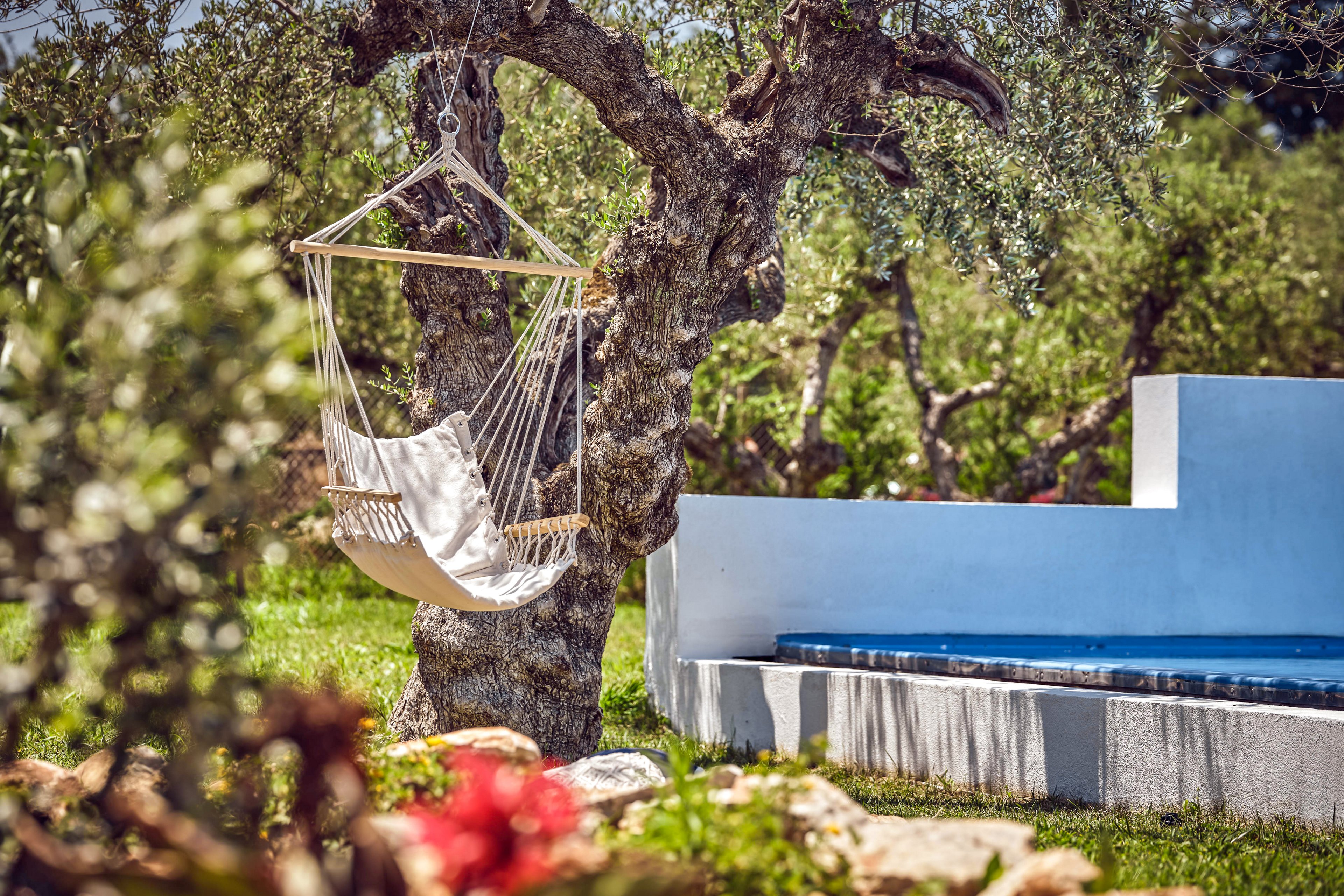 Cavo Orient Beach Hotel