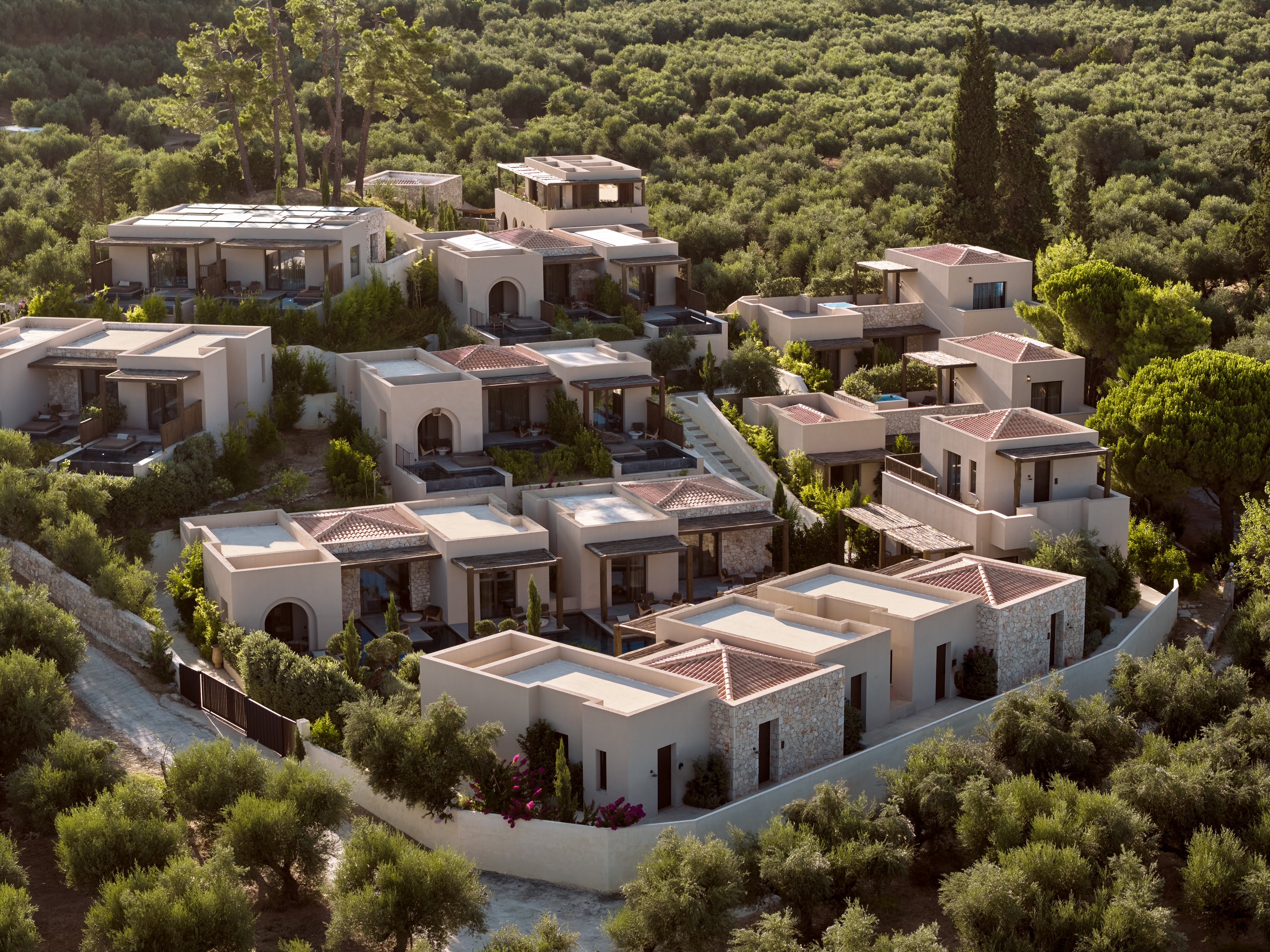 A cluster of modern villas and suites is nestled on a sunlit hillside, surrounded by dense olive groves. The architecture features flat roofs, terracotta tiles, and light-colored stone walls, creating a harmonious Mediterranean aesthetic. Pathways and terraces connect the buildings, with greenery and flowering plants adding natural accents. The overall scene suggests a tranquil vacation resort or luxury residential complex in a rural coastal region.